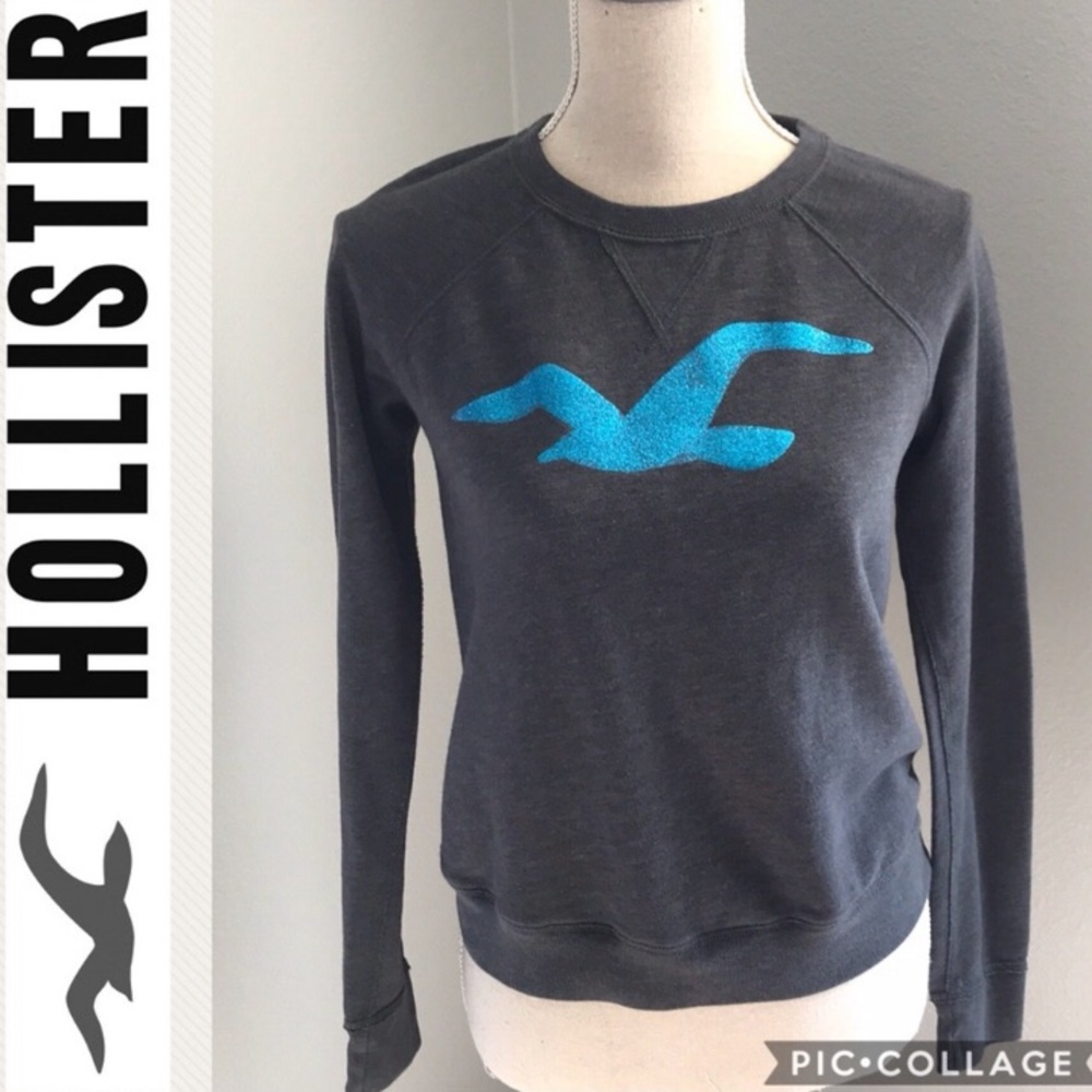 COPY - Hollister pullover sweater see thru mesh b…